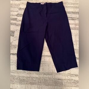 In Every Story Navy Blue Capri Pants Sz 14